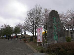 第7回いずみざき桜ウォーク当日01 『第7回いずみざき桜ウォーク当日01』の画像