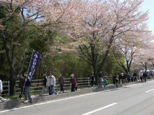 第7回いずみざき桜ウォーク当日13 『第7回いずみざき桜ウォーク当日13』の画像