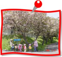 『ようこそ泉崎村保育所のホームページへ01』の画像