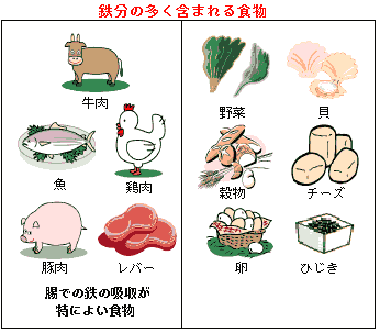 亜鉛 を 多く 含む 食べ物