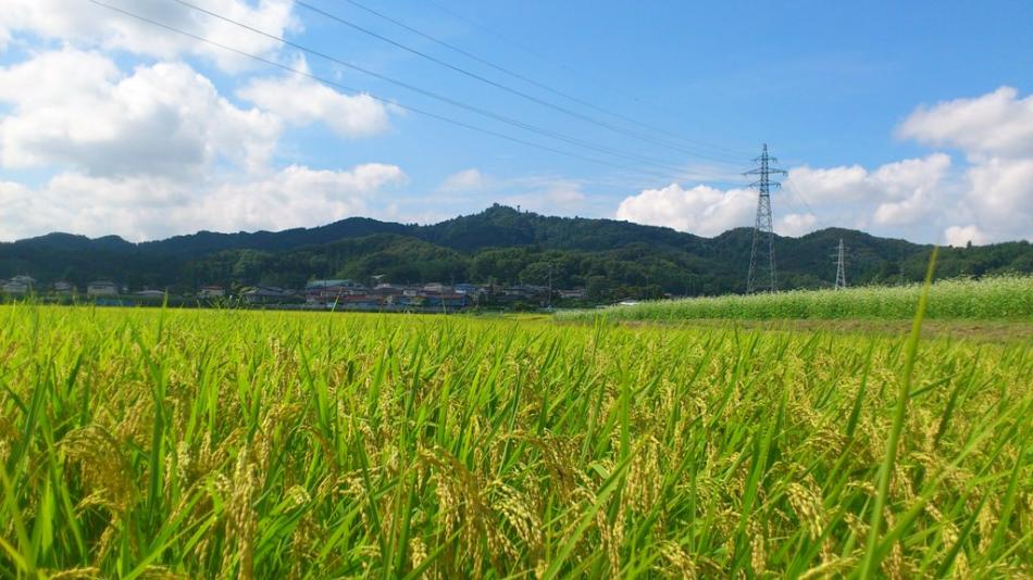 烏峠