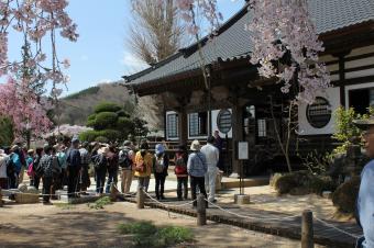 桜ウォーク　昌建寺講話