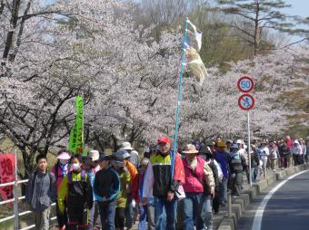 桜ウォーク　中学校前