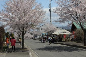 桜ウォーク　天王台甘酒