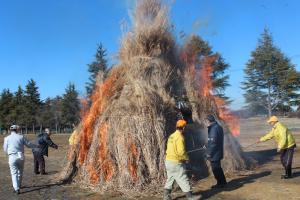 とうやんぼう3 『とうやんぼう3』の画像