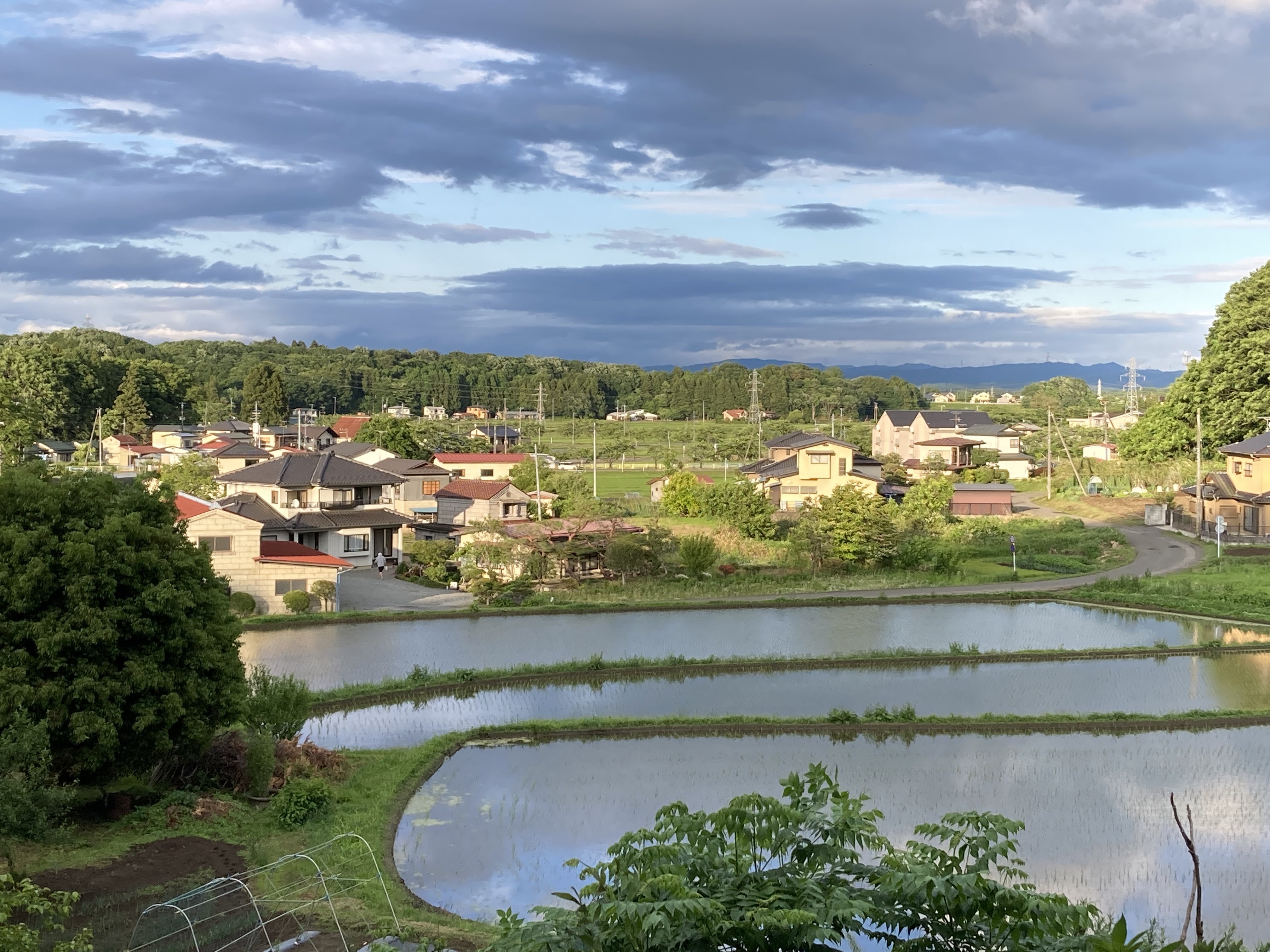 02　議会議長賞（田植え前）