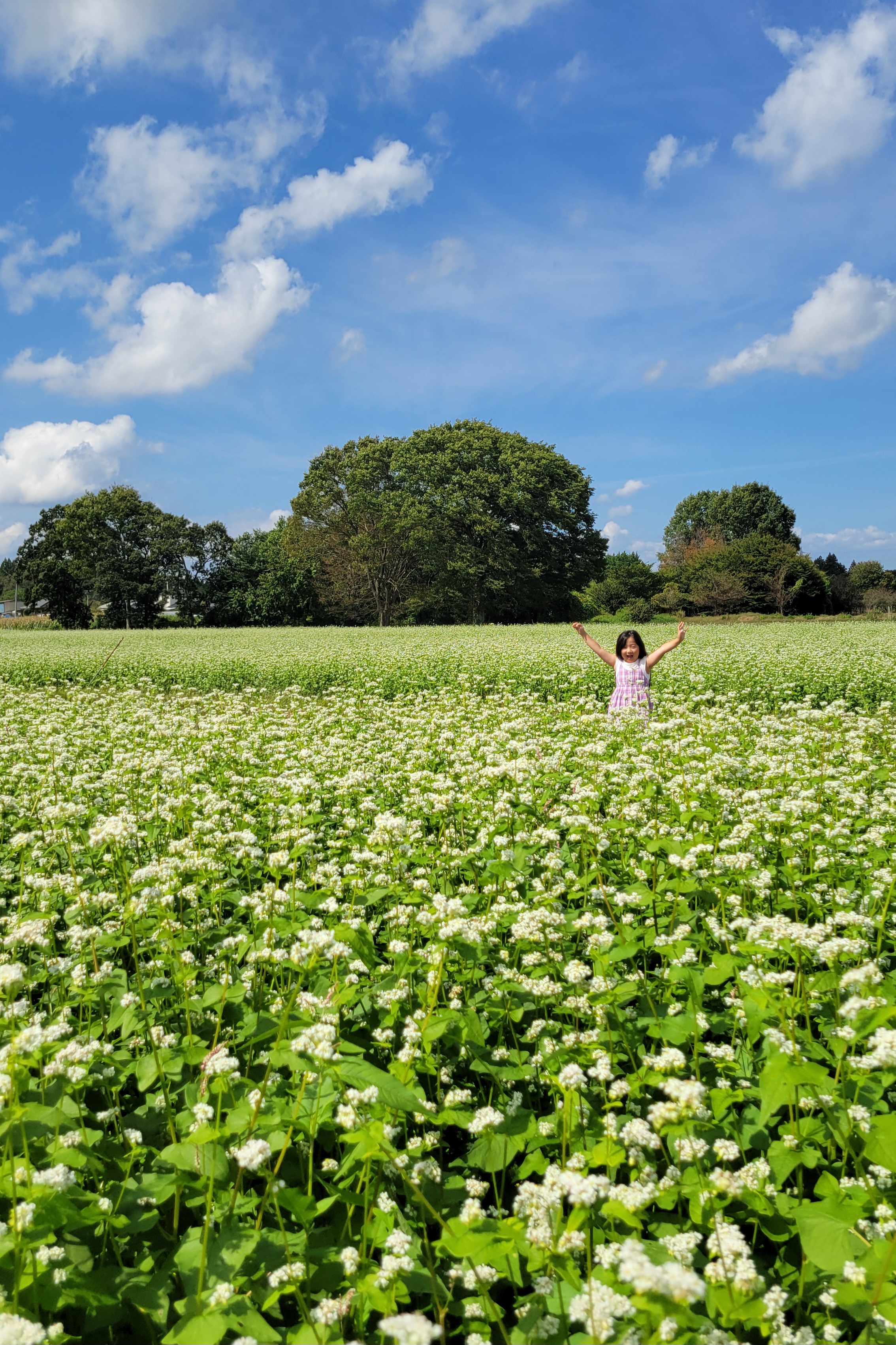 03　教育長賞（大好きな蕎麦に囲まれて）