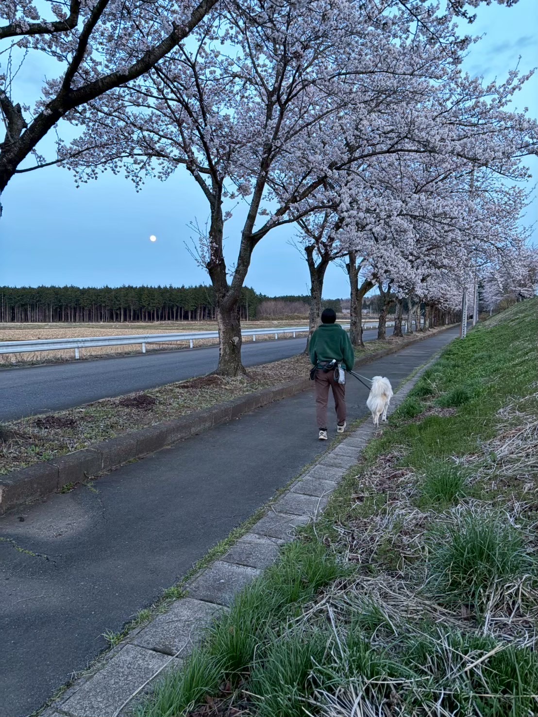 05　公民館長賞（贅沢なおさんぽ）