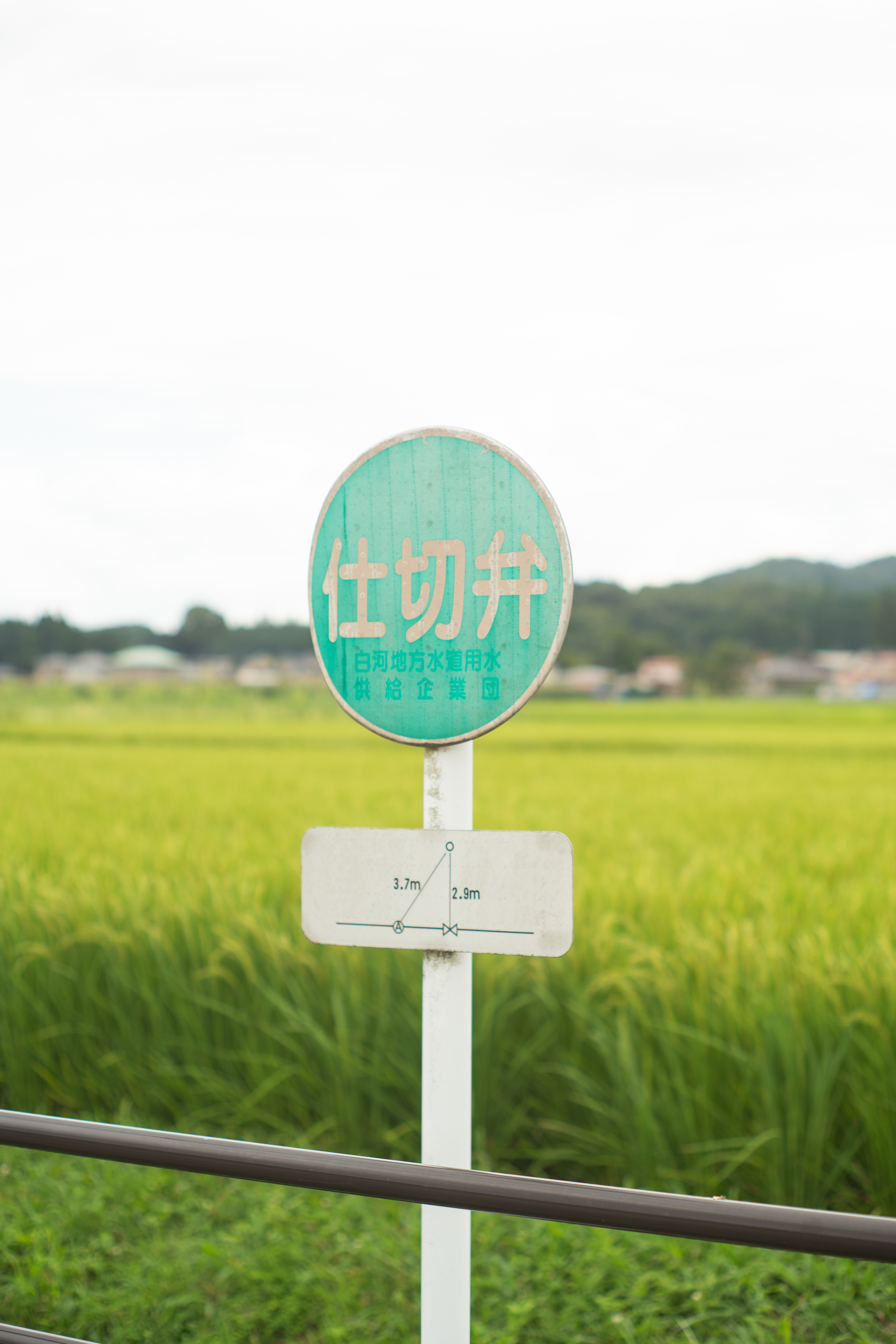 09　銀賞（お米の暗号？）