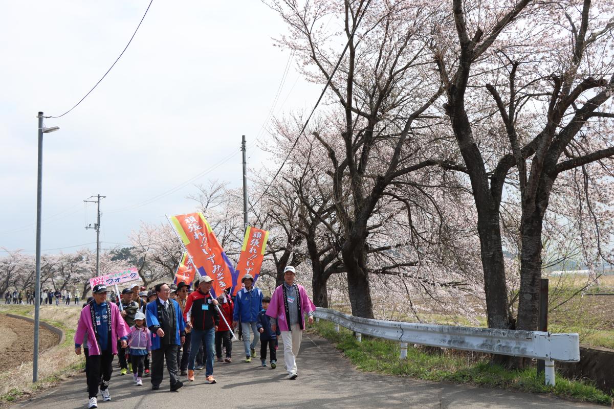 第１９回いずみざき桜ウォークを見る
